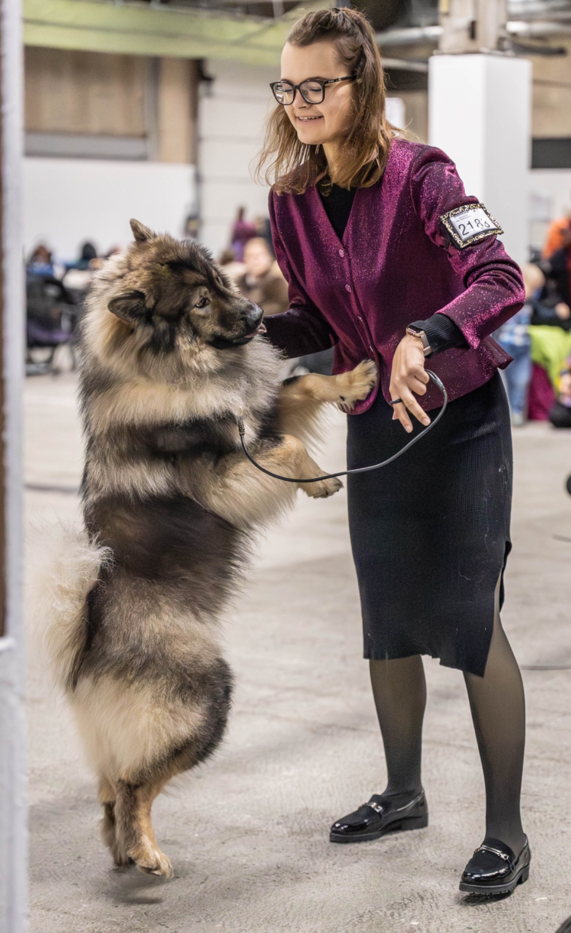 Jade's  Family Cesar