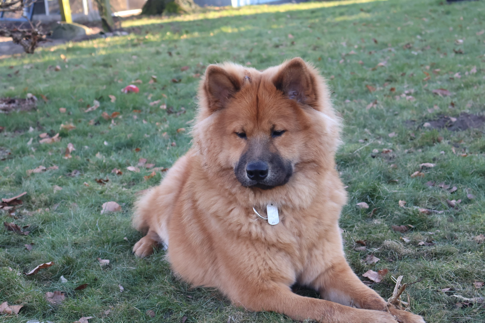 Valanjou Maiggy Des Legendes De Retz